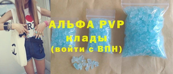 гидра Новозыбков