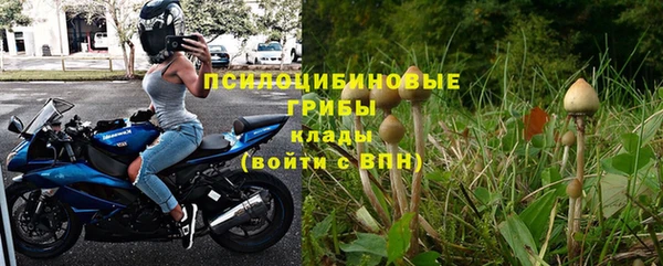 винт Бикин
