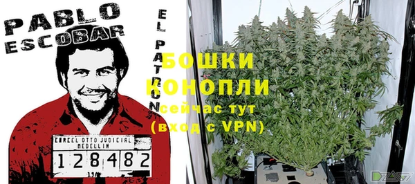 гидра Новозыбков