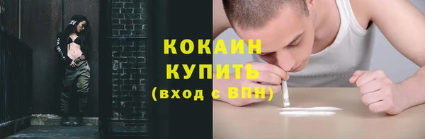 гидра Новозыбков