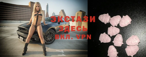 гидра Новозыбков