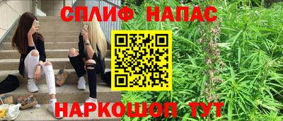 Альфа ПВП Гусев