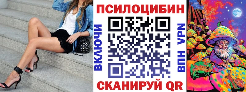 нарко площадка состав  хочу   Таганрог  Псилоцибиновые грибы Psilocybine cubensis 
